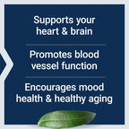 Life Extension | Super Omega-3 EPA/DHA | 240 Cápsulas | Salud Cardiovascular y Cerebral