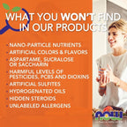 NOW Foods | Berberina con Aceite MCT para Máxima Absorción | 60 Cápsulas | Soporte Metabólico