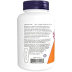 NOW Foods | Berberina con Aceite MCT para Máxima Absorción | 60 Cápsulas | Soporte Metabólico