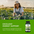 Swanson | Rhodiola Rosea 400 mg  | 100 Cápsulas | Estrés y Energía
