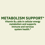 Spring Valley | Vitamina B 12 1000 mcg | 60 Tabletas | Apoyo al Metabolismo